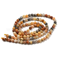 Natural Crazy Lace Agate Beads Strands&nbsp;X-G-A129-3mm-17
