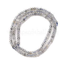Natural Labradorite Beads Strands&nbsp;G-RM2025-D17-B