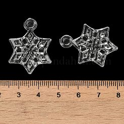 Transparent Acrylic Pendants&nbsp;TACR-G048-27
