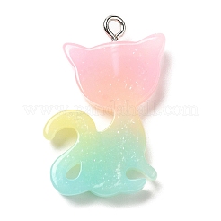Translucent Resin Pendants&nbsp;RESI-G069-03C