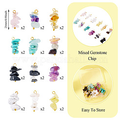 24Pcs 12 Styles Mixed Gemstone Chip Pendants&nbsp;PALLOY-TAC0166