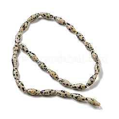 Natural Dalmatian Jasper Beads Strands&nbsp;G-A223-A08-01