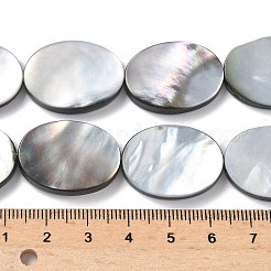 Natural Black Lip Shell Beads Strands&nbsp;BSHE-D300-02-18x25mm