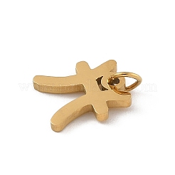 304 Stainless Steel Charms&nbsp;STAS-R001-04G-12