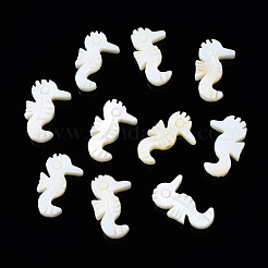 Natural Freshwater Shell Beads&nbsp;SHEL-N026-158