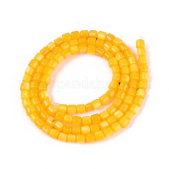 染め天然淡水シェルビーズ連売り  コラム  ゴールド  2~4x3~4mm  穴：0.6mm  約113~114個/連  14.76~14.96''（37.5~38センチメートル）&nbsp;SHEL-T020-56B