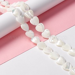 Natural Trochid Shell/Trochus Shell Beads&nbsp;SSHEL-O001-27D