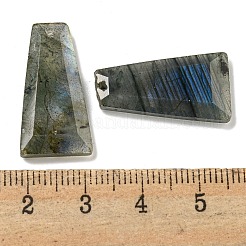 天然石ラブラドライトペンダント  ファセット台形チャーム  25x13x4mm  穴：1mm&nbsp;G-G123-02D