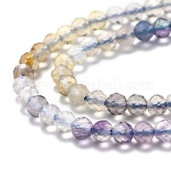 Natural Fluorite Beads Strands&nbsp;G-H266-31B