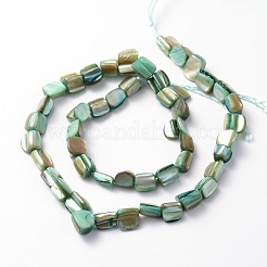 Irregular Natural Sea Shell Beads Strands&nbsp;SSHEL-X0001
