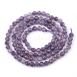 Natural Amethyst Beads Strands&nbsp;G-T107-12