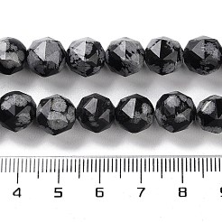 Natural Snowflake Obsidian Beads Strands&nbsp;G-NH0021-A09-02