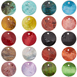 150Pcs 10 Colors Natural Shell Charms&nbsp;SHEL-PA0001-03