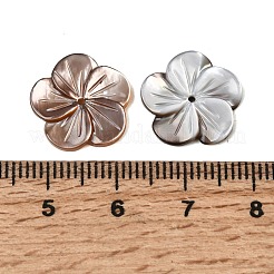 天然の黒リップシェル彫刻ビーズ  花  14.5x15~15.5x2.5~3.5mm  穴：1mm&nbsp;SHEL-A006-11B