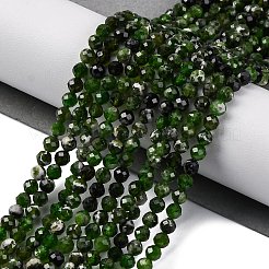 Natural Diopside Beads Strands&nbsp;G-G188-B14-02