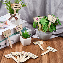 2 Bags Wooden Plant Labels&nbsp;DIY-CP0012-70