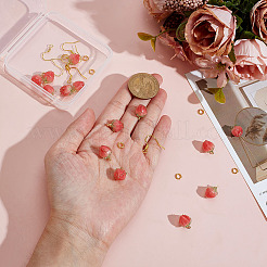 DIY Dangle Earring Making Kits&nbsp;DIY-ME0001-79