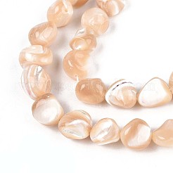 天然トロチッドシェル/トロカスシェルビーズ連売り  ナゲット  小麦  6~11x6~10x6~10mm  穴：0.7mm  約46~48個/連  15.16~15.55インチ（38.5~39.5cm）&nbsp;SSHEL-N040-13