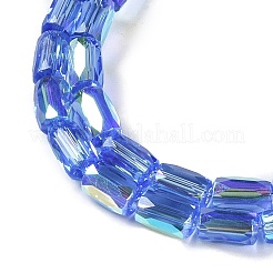 Electroplate Glass Chevron Beads Strands&nbsp;GLAA-Q101-02A-AB03