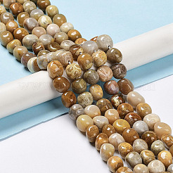 天然化石サンゴのビーズ連売り  ナゲットの転がった石  6.5~15x7~14x7~14mm  穴：1~1.4mm  約32~33個/連  15.16~ 15.75インチ（38.5~40cm）&nbsp;G-C038-02T