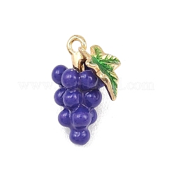 Fruit Alloy Enamel Pendants&nbsp;ENAM-P264-02G-G03