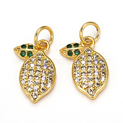 Brass Micro Pave Cubic Zirconia Charms&nbsp;ZIRC-L093-18G