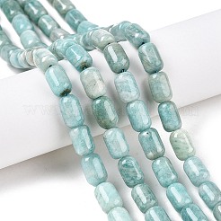 Natural Amazonite Beads Strands&nbsp;G-G980-36B