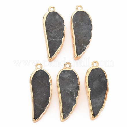Natural Labradorite Pendants&nbsp;G-N326-127-A05-1