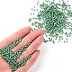 8/0 Glass Seed Beads&nbsp;SEED-A012-3mm-127-4