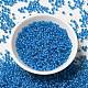 8/0 Transparent Glass Seed Beads&nbsp;SEED-F003-03B-02-2