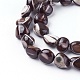 Shell Beads Strands&nbsp;SSHEL-E571-45B-1
