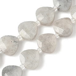 Natural Labradorite Beads Strands&nbsp;G-D316-A17