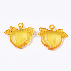 Transparent Acrylic Pendants&nbsp;TACR-S133-039