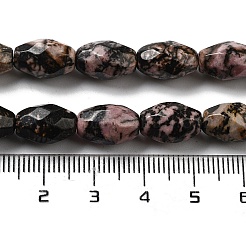 Natural Rhodonite Beads Strands&nbsp;G-P520-C22-01