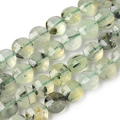Natural Prehnite Beads Strands&nbsp;G-C179-A51-03
