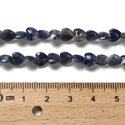 Natural Sodalite Beads Strands&nbsp;G-P575-C15-6mm