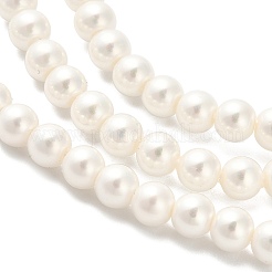 AB Color Plated Shell Pearl Round Beads Strands&nbsp;BSHE-XCP0001-31
