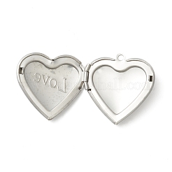Tarnish Resistant 304 Stainless Steel Diffuser Locket Pendants&nbsp;STAS-K002-06P