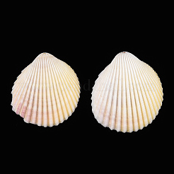 天然石シェルペンダント  貝殻の形のチャーム  貝殻色  34~45x32~40x11~15mm  穴：1.5~1.6mm&nbsp;SSHEL-ZX006-10