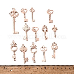Alloy Pendants&nbsp;FIND-D040-01RG