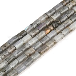 Natural Labradorite Beads Strands&nbsp;G-F832-B10-01