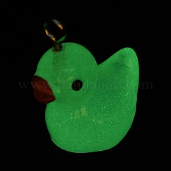 Luminous Opaque Resin Cartoon Pendants&nbsp;LS-CRES-Z004-01C-P