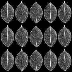 ドライフラワーの葉のクラフト用品100個  ホワイト  45~50x25~30x0.1mm&nbsp;AJEW-CP0009-41B