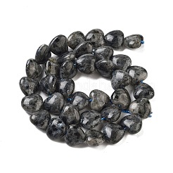 Natural Larvikite Beads Strands&nbsp;G-B022-28C