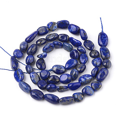 Natural Lapis Lazuli Beads Strands&nbsp;G-T107-05