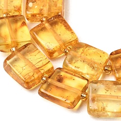 Natural Amber Beads Strands&nbsp;G-C260-A01-03
