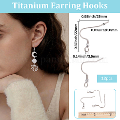 12Pcs Titanium Alloy Earring Hooks&nbsp;FIND-BBC0005-42A-01
