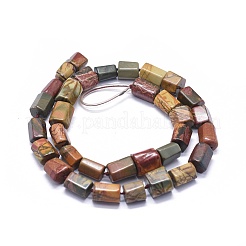 Natural Polychrome Jasper/Picasso Stone/Picasso Jasper Beads Strands&nbsp;G-K293-J03-A