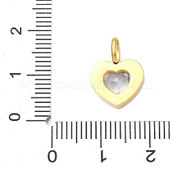 304 Stainless Steel Micro Pave Cubic Zirconia Pendants&nbsp;STAS-D364-03G