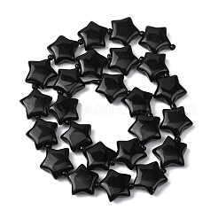 Natural Obsidian Beads Strands&nbsp;G-K359-E13